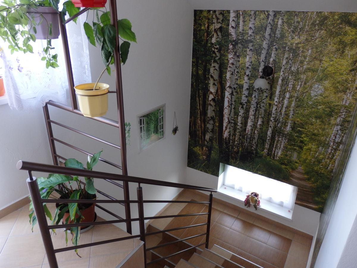 Hotel Pivnicka Pod Cachtickym Hradom Čachtice Zewnętrze zdjęcie